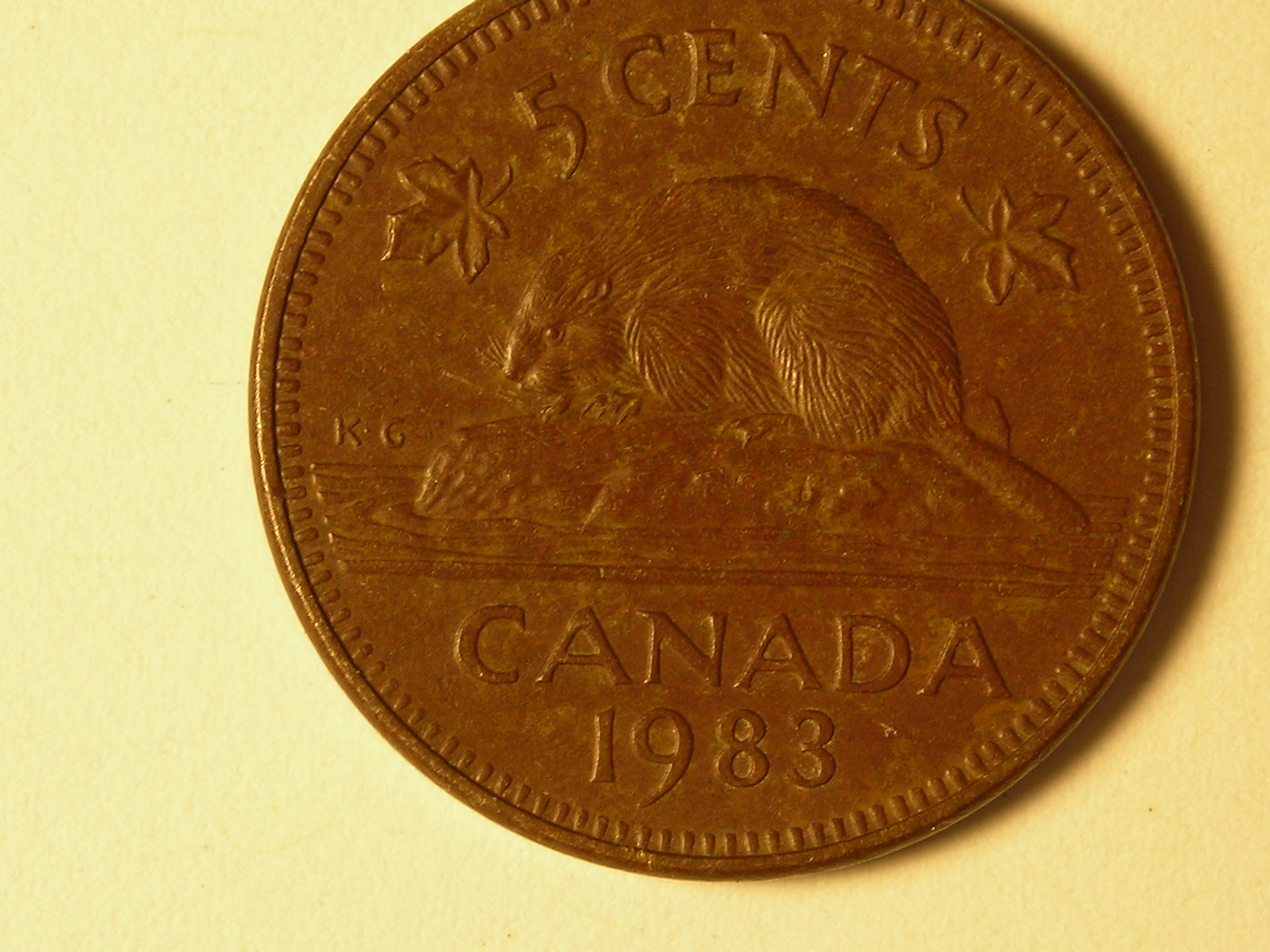 DSCN5071.JPG