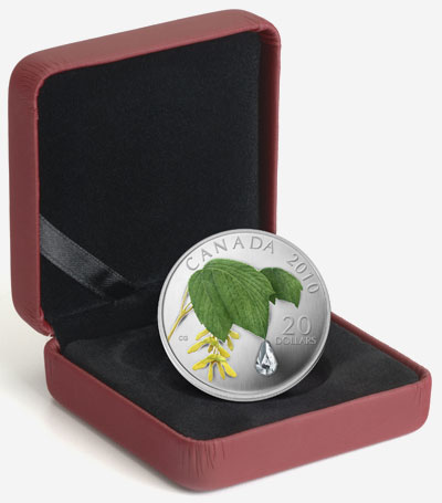 Pièce de 20 $ en argent fin 2010 - Feuille d'érable et goutte de cristal